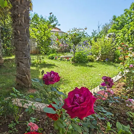 Danica-1 By Interhome Lägenhet